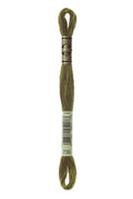 DMC Embroidery Floss (The Green Shades) (730 - very dark olive green)