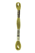 DMC Embroidery Floss (The Green Shades) (733 - medium olive green)