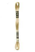 DMC Embroidery Floss (The Brown Shades) (738 - very light tan)