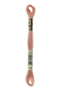 DMC Embroidery Floss (The Orange Shades) (758 - very light terra cotta)