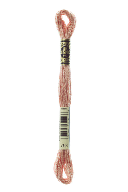 DMC Embroidery Floss (The Orange Shades) (758 - very light terra cotta)