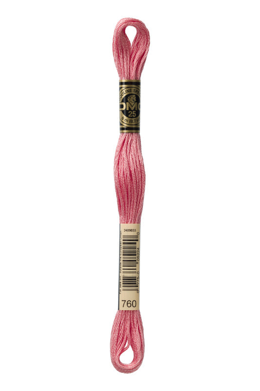 DMC Embroidery Floss (The Pink Shades) (760 - salmon)