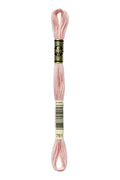 DMC Embroidery Floss (The Pink Shades) (761 - light salmon)