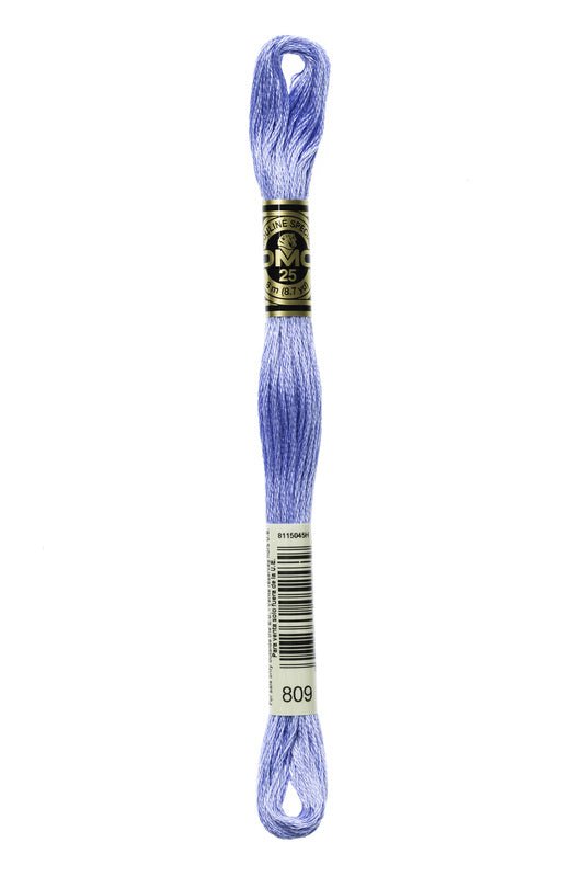 DMC Embroidery Floss (The Blue Shades) (809 - delft blue)