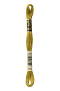 DMC Embroidery Floss (The Brown Shades) (833 - light golden olive)