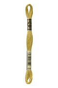 DMC Embroidery Floss (The Brown Shades) (834 - very light golden olive)