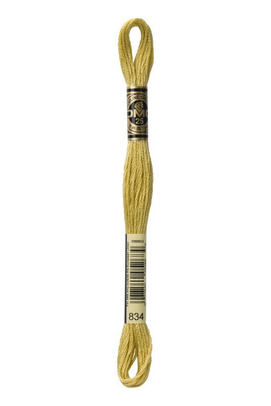 DMC Embroidery Floss (The Brown Shades) (834 - very light golden olive)