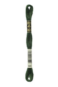 DMC Embroidery Floss (The Green Shades) (895 - very dark hunter green)