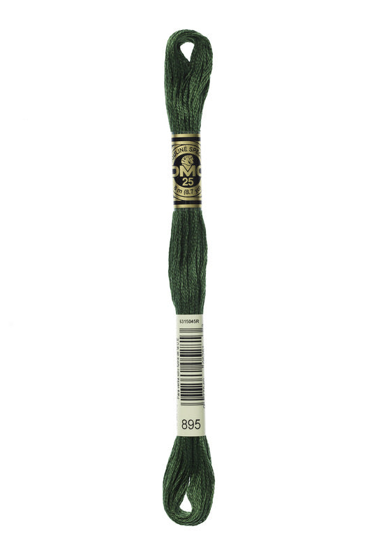 DMC Embroidery Floss (The Green Shades) (895 - very dark hunter green)
