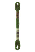 DMC Embroidery Floss (The Green Shades) (904 - very dark parrot green)