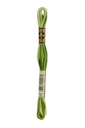 DMC Embroidery Floss (The Green Shades) (92 - variegated avocado)