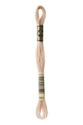 DMC Embroidery Floss (The Brown Shades) (950 - light desert sand)