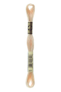 DMC Embroidery Floss (The Brown Shades) (951 - light tawny)