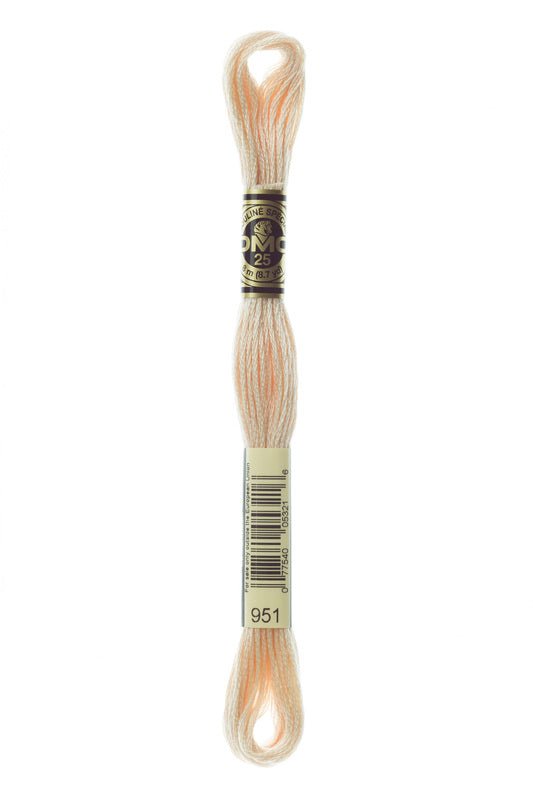 DMC Embroidery Floss (The Brown Shades) (951 - light tawny)