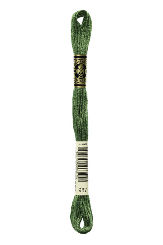 DMC Embroidery Floss (The Green Shades) (987 - dark forest green)