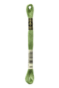 DMC Embroidery Floss (The Green Shades) (989 - forest green)