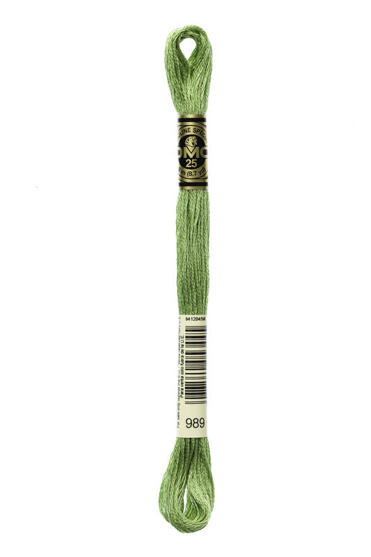 DMC Embroidery Floss (The Green Shades) (989 - forest green)