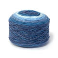 DMC Revelation Yarn (211)