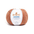 DMC Andes Yarn (301)