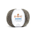 DMC Andes Yarn (308)