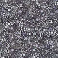 Effervescence Circles and Dots in Graphite quilting fabric by Robert Kaufman