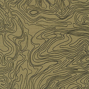 Collection CF Elevation in Brown quilting fabric by Robert Kaufman