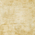 Chalk and Charcoal Wide 108 inch quilt backing in Parchment by Robert Kaufman