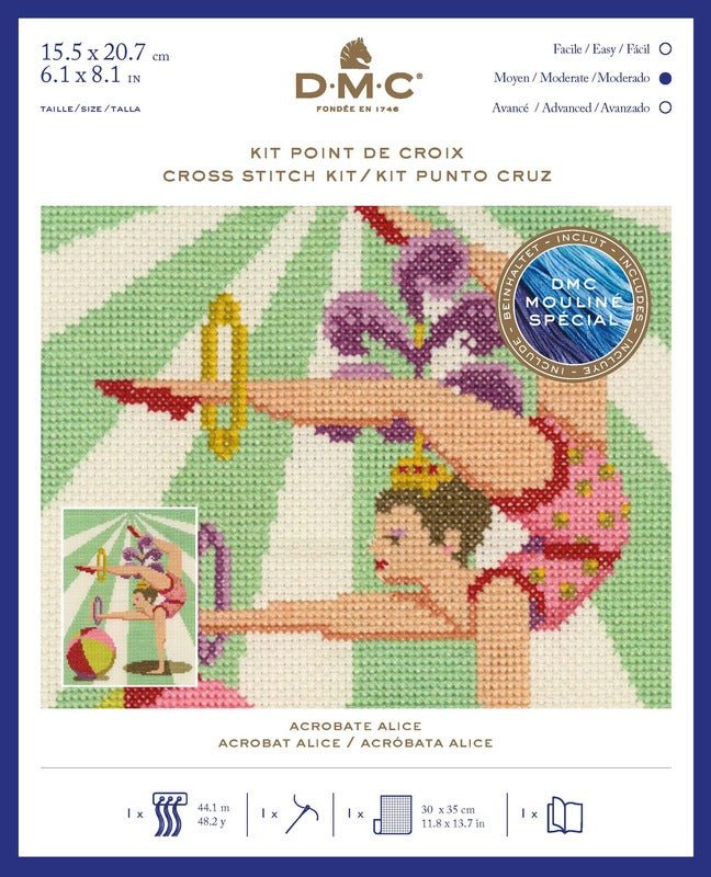 DMC Cross Stitch Kit - Acrobat