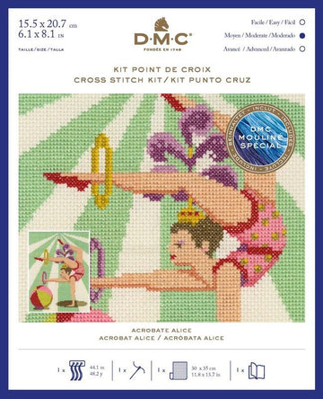 DMC Cross Stitch Kit - Acrobat