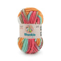 Ganga Acrowools Blankie Multi Yarn (BLM002)