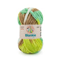 Ganga Acrowools Blankie Multi Yarn (BLM003)