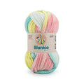 Ganga Acrowools Blankie Multi Yarn (BLM007)