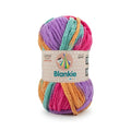 Ganga Acrowools Blankie Multi Yarn (BLM012)