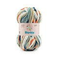 Ganga Acrowools Blankie Multi Yarn (BLM023)