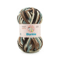 Ganga Acrowools Blankie Multi Yarn (BLM027)