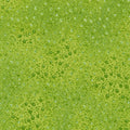 Fusions Floral Texture in Celadon quilting fabric by Robert Kaufman