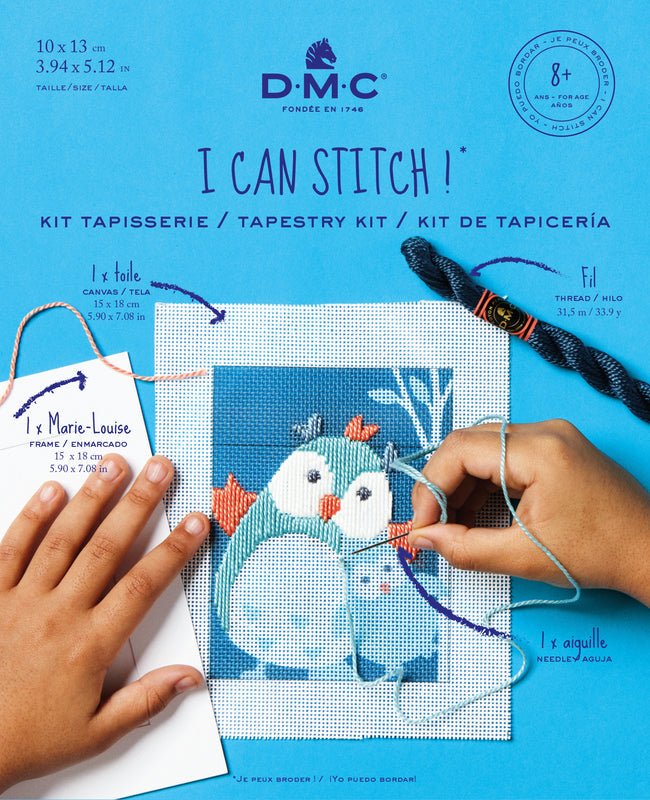 DMC Tapestry Kit - Filou the Owl