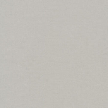 Kona Cotton Solids (The Grey Shades) in Ash quilting fabric by Robert Kaufman