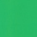 Kona Cotton Solids (The Green Shades) in Fern quilting fabric by Robert Kaufman