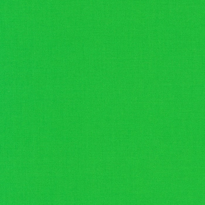 Kona Cotton Solids (The Green Shades) in Kiwi quilting fabric by Robert Kaufman