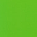 Kona Cotton Solids (The Green Shades) in Parrot quilting fabric by Robert Kaufman