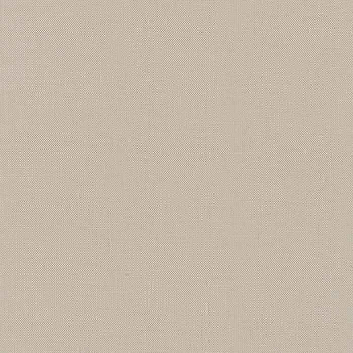 Kona Cotton Solids (The Black, White & Neutral Shades) in Bone quilting fabric by Robert Kaufman