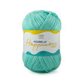 Ganga Acrowools Pound of Happiness Yarn (POH005)