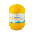 Ganga Acrowools Pound of Happiness Yarn (POH012)