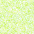 Fusions Zinnia Blooms in Fresh Dew quilting fabric by Robert Kaufman