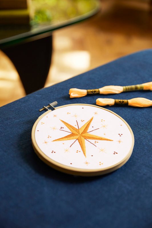 DMC Embroidery Kit - Starlight Stars