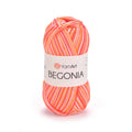 YarnArt Begonia Melange Yarn 507