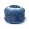 DMC Revelation Yarn (211)