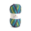 DMC Knitty 4 Pop Yarn (482)